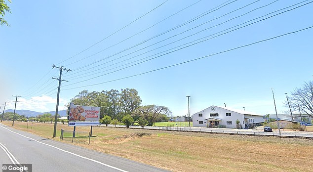 Young boy, 12, is killed and three others rushed to hospital after allegedly stolen vehicle crashes in Stratford, Cairns