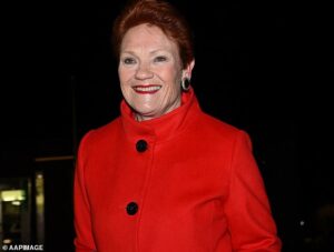 Senior Albo minister floats a big change to parental leave after Pauline Hanson urgently clarified her views about women not being paid