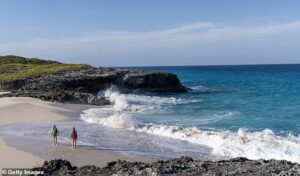 American boy, 12, attacked by shark at luxury Caribbean resort