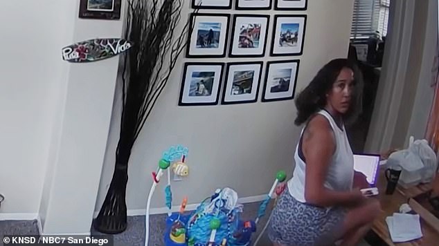Scorned ex-wife from hell admits spying on former spouse and his new girlfriend using cameras hidden throughout their San Diego home