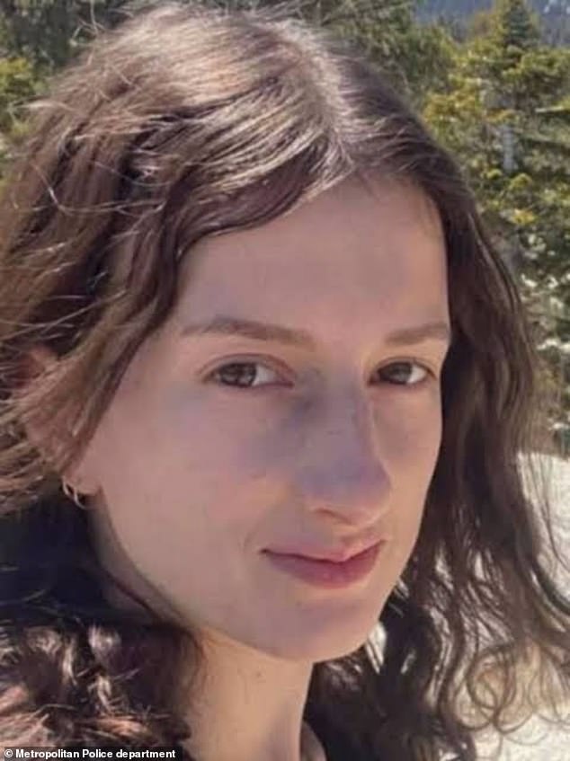 Desperate search launched for female tourist, 26, last seen in remote Nevada mountain town