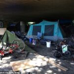 Horror as missing girl is found 1,500 miles away from home in woke Seattle’s notorious ‘Jungle’ homeless encampment