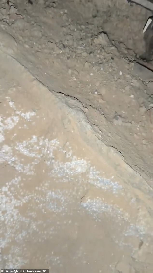 Venezuela earthquake rescuers discover collapsed buildings were ‘held up by STYROFOAM’ as catastrophic death toll reaches 1,430