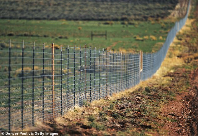 Locals demand billionaire oil heir takes down his 20-mile barbed wire fence that’s harming deer and elk on idyllic Colorado ranch