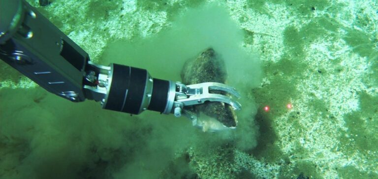 Largest whale ‘graveyard’ discovered, with skeletons spanning 5 million years