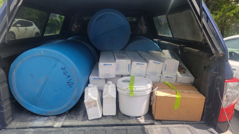 Newest Auction Haul