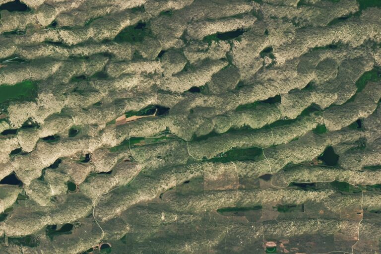 June 2026 Satellite Puzzler – NASA Science