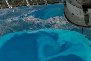 A Turquoise Tint for the Black Sea