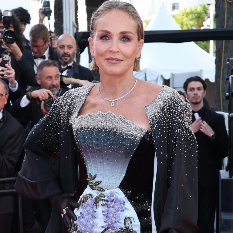 Sharon Stone Ended Marriage Over Husband’s Reaction to Breast Removal