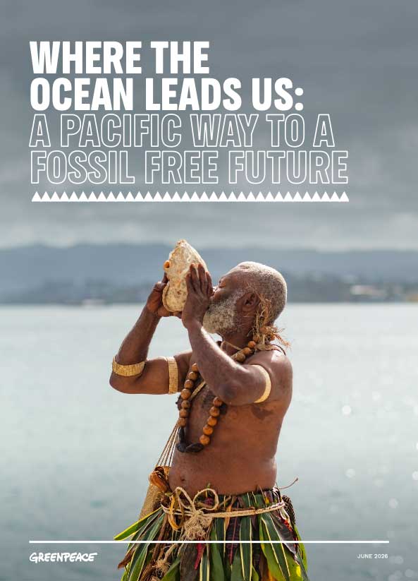 The Wayfinders’ Roadmap – Greenpeace Australia Pacific