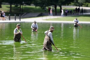 A water treatment expert on what could actually fix the Reflecting Pool