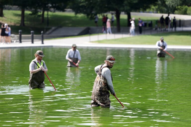 A water treatment expert on what could actually fix the Reflecting Pool