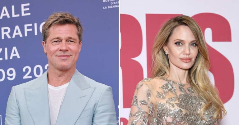 Brad Pitt Scores Win Against Angelina Jolie in Winery Lawsuit