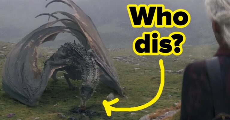 How Many Dragons Can You Name From "House Of The Dragon"?