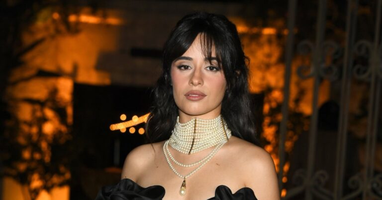 Camila Cabello and Boyfriend Henry Junior Chalhoub Split