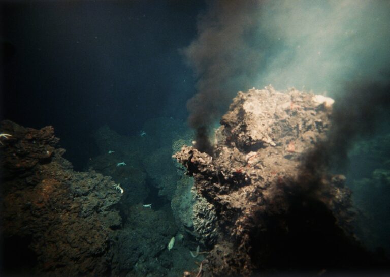 The asteroid that killed the dinosaurs may have sparked millions of years of hydrothermal life