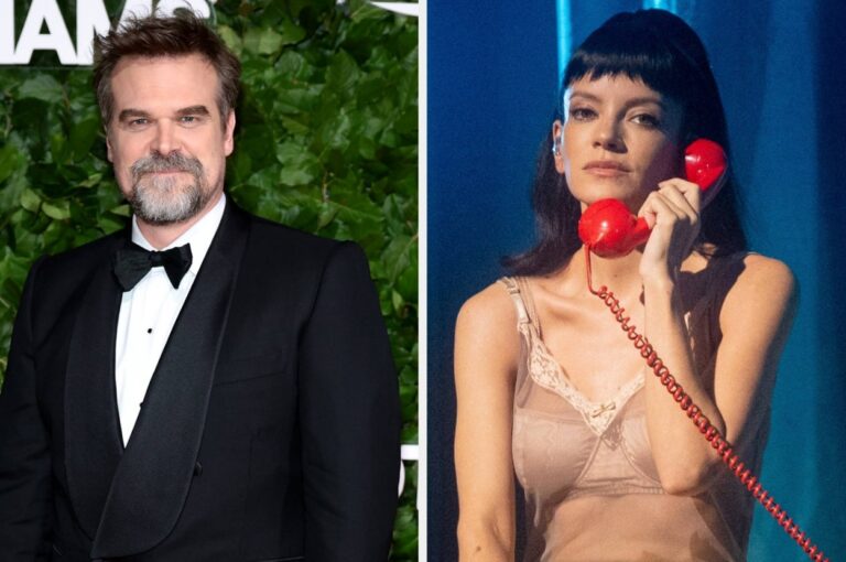 David Harbour Addressed Lily Allen's Explosive "West End Girl" Album
