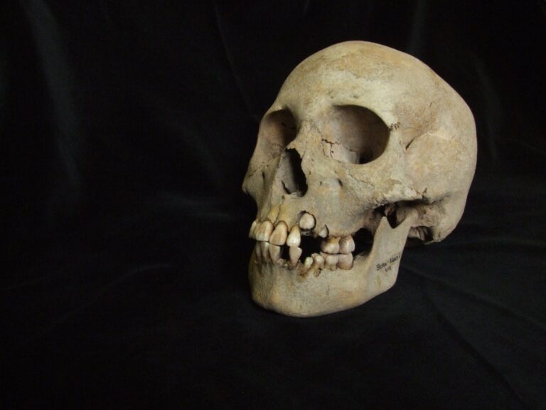 Could this ancient burial site be the oldest lethal plague outbreak?