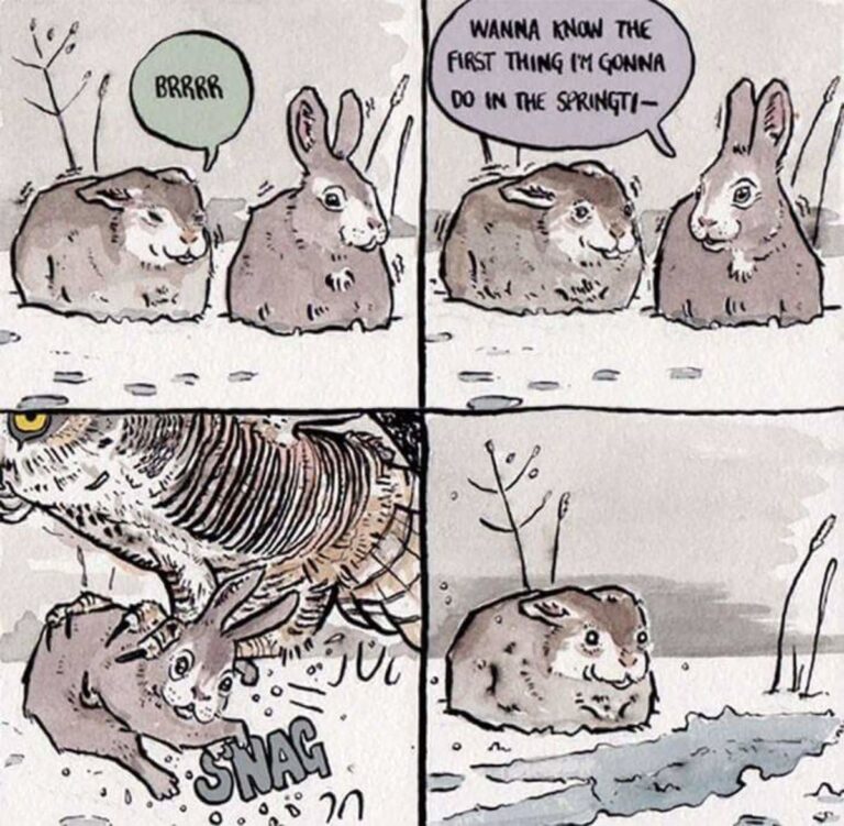 Political Compass