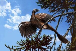 New Scientist recommends Steve Brusatte’s brilliant take on the evolution of birds