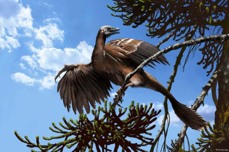 New Scientist recommends Steve Brusatte’s brilliant take on the evolution of birds
