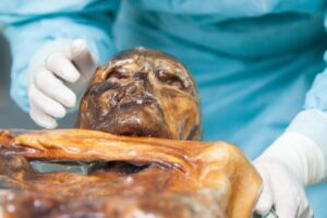 Ötzi’s frozen remains may harbour metabolically active microbes