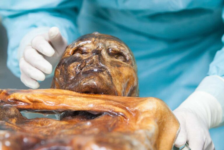 Ötzi’s frozen remains may harbour metabolically active microbes