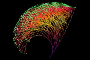 The maths meme that has been distracting mathematicians for a century