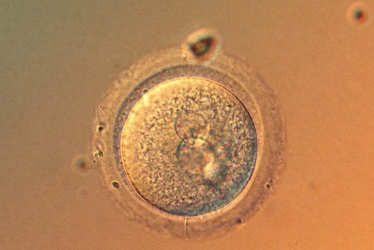 Are we getting to the point where it’s safe to gene-edit babies?