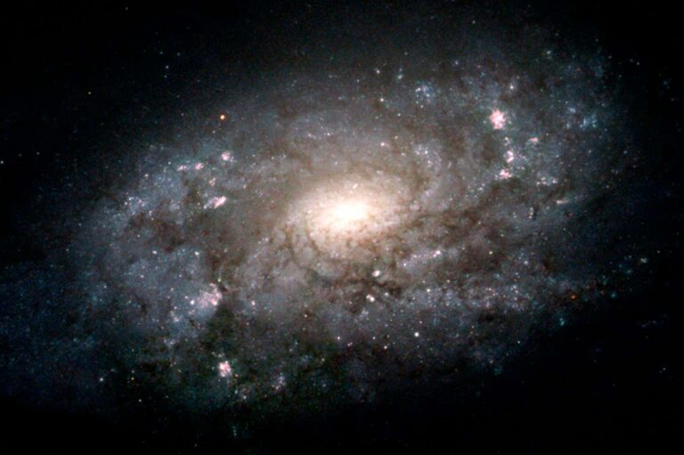 We may have finally solved cosmology’s chicken-or-the-egg problem