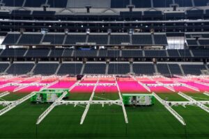 How FIFA is engineering natural grass for the 2026 World Cup