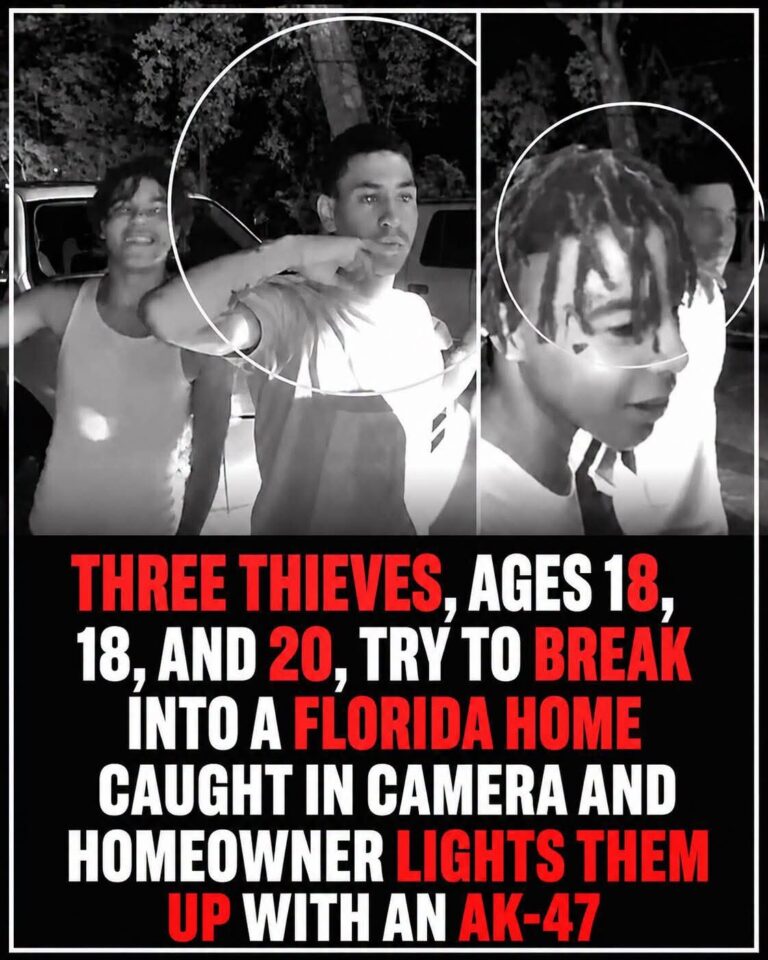 Three thieves could be here…