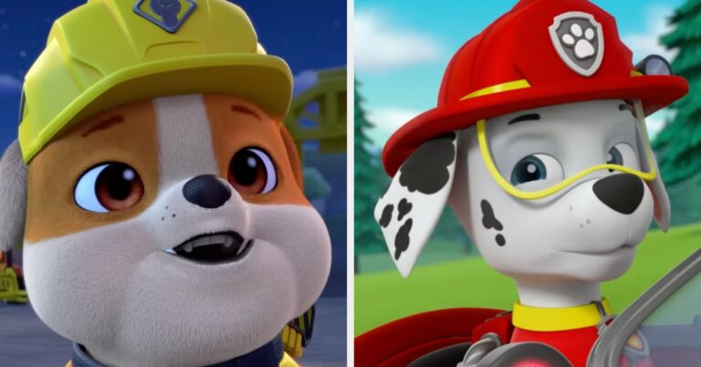 Which Paw Patrol Pup Are You? Take The Quiz