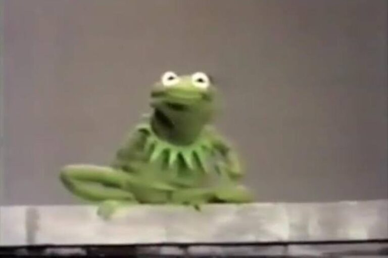 Only True Muppets Fans Can Name All 10 Of These Obscure Muppet Characters