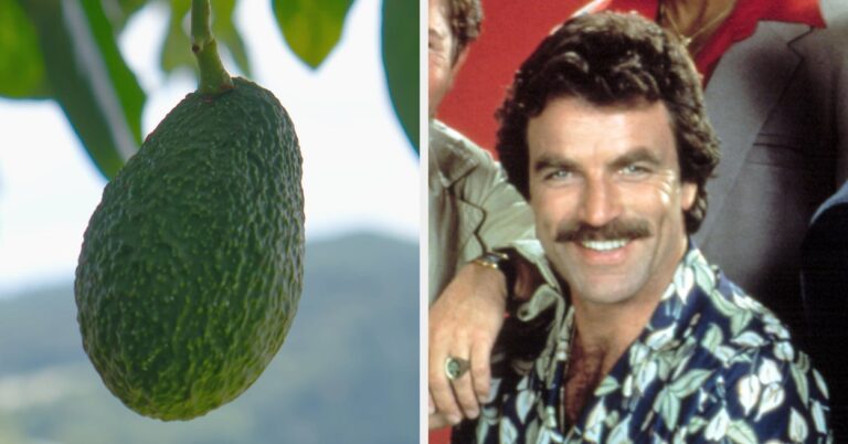 Celebrities And Their Side Jobs