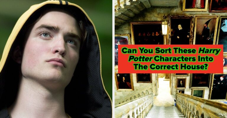 Can You Sort These "Harry Potter" Characters Into The Correct House?