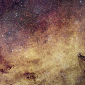 Euclid View of Milky Way Heart Previews Core Survey by NASA’s Roman