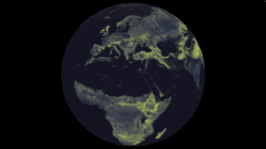 See the hidden fungal network so big it could stretch to Proxima Centauri and back