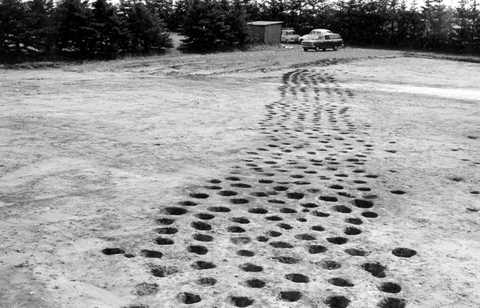 Mysterious 2,500-Year-Old Holes Scattered All Over Denmark Investigated By Archaeologists