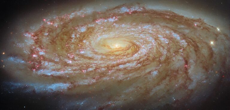Journey to the Center of the Virgo Cluster