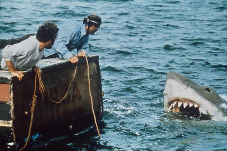 Where Is the Cast of “Jaws” Now? Inside Their Lives 51 Years Later