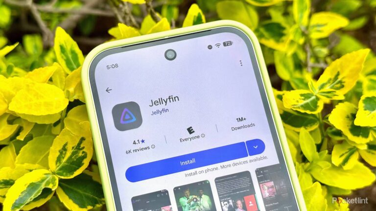 3 apps that make Jellyfin better
