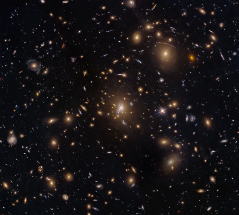 Hubble Sees Swarm of Galaxies