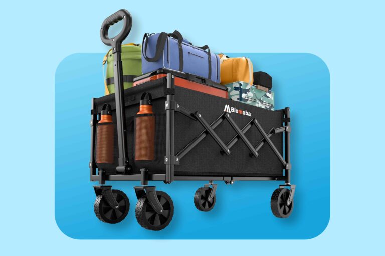 Shoppers Are Finding Such Clever Uses for This $40 Collapsible Beach Wagon — Even Hauling Tired Pets After Hikes