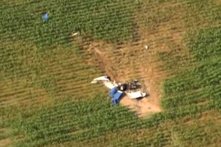 Identities Revealed of 2 Brothers Who Died After Small Plane Crashed into Tennessee Cornfield Miles from Their Home