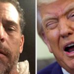 Hunter Biden Completely Roasted Donald Trump On X