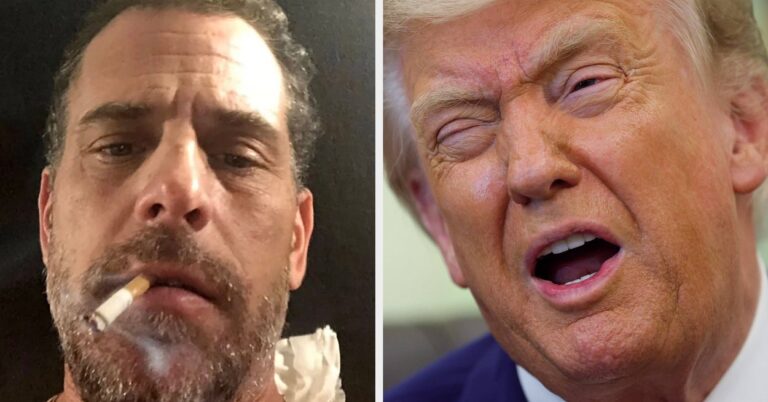 Hunter Biden Completely Roasted Donald Trump On X