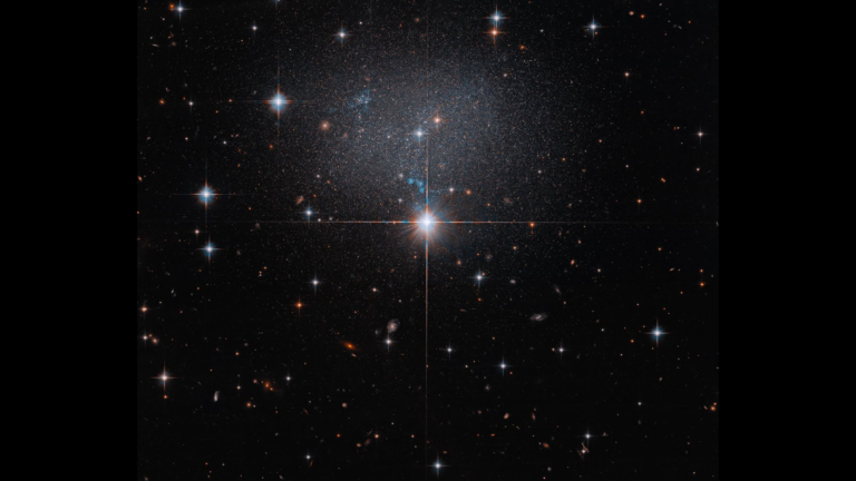 Hubble spies a swarm of stars in a strange, irregular galaxy photo of the day for June 15, 2026