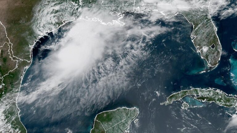 Fuertes lluvias azotan la costa de Texas con la llegada de la Tormenta Tropical Arthur. » Yale Climate Connections