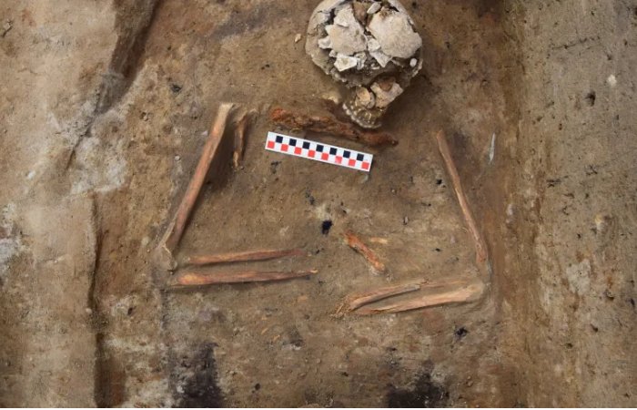 Unusual Medieval Burial Discovered In Dabrówno, Poland, Puzzles Archaeologists